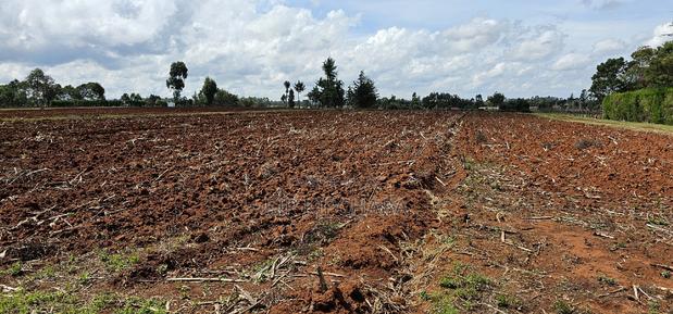 Prime 1⁄4 Plot for Sale Marura Sololo in Eldoret - thumbnail 5