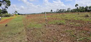 Prime 1⁄4 Plot for Sale Marura Sololo in Eldoret