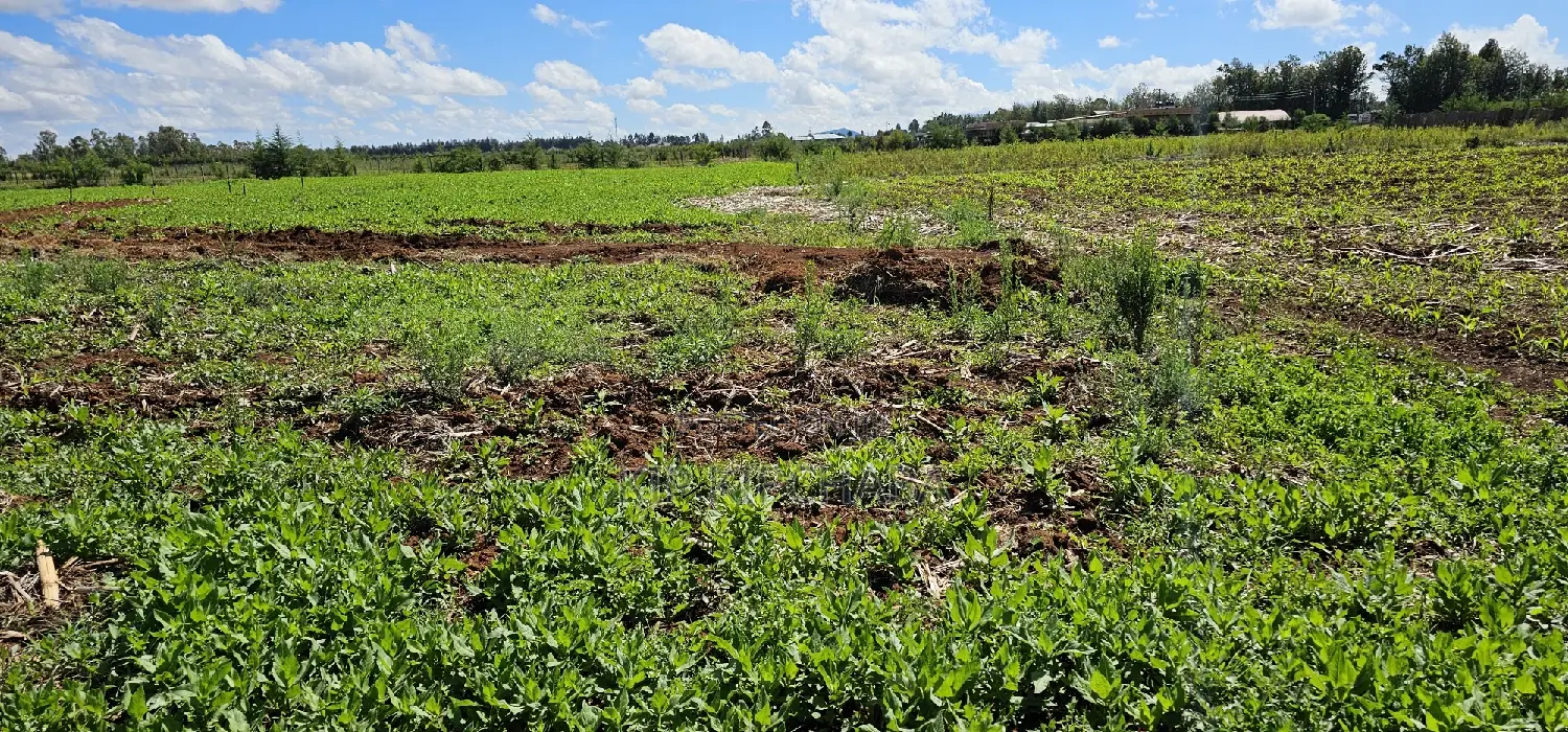 Prime Commercial Plots for Sake in Kimumu Marura in Eldoret