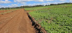 Prime Commercial Plots for Sake in Kimumu Marura in Eldoret