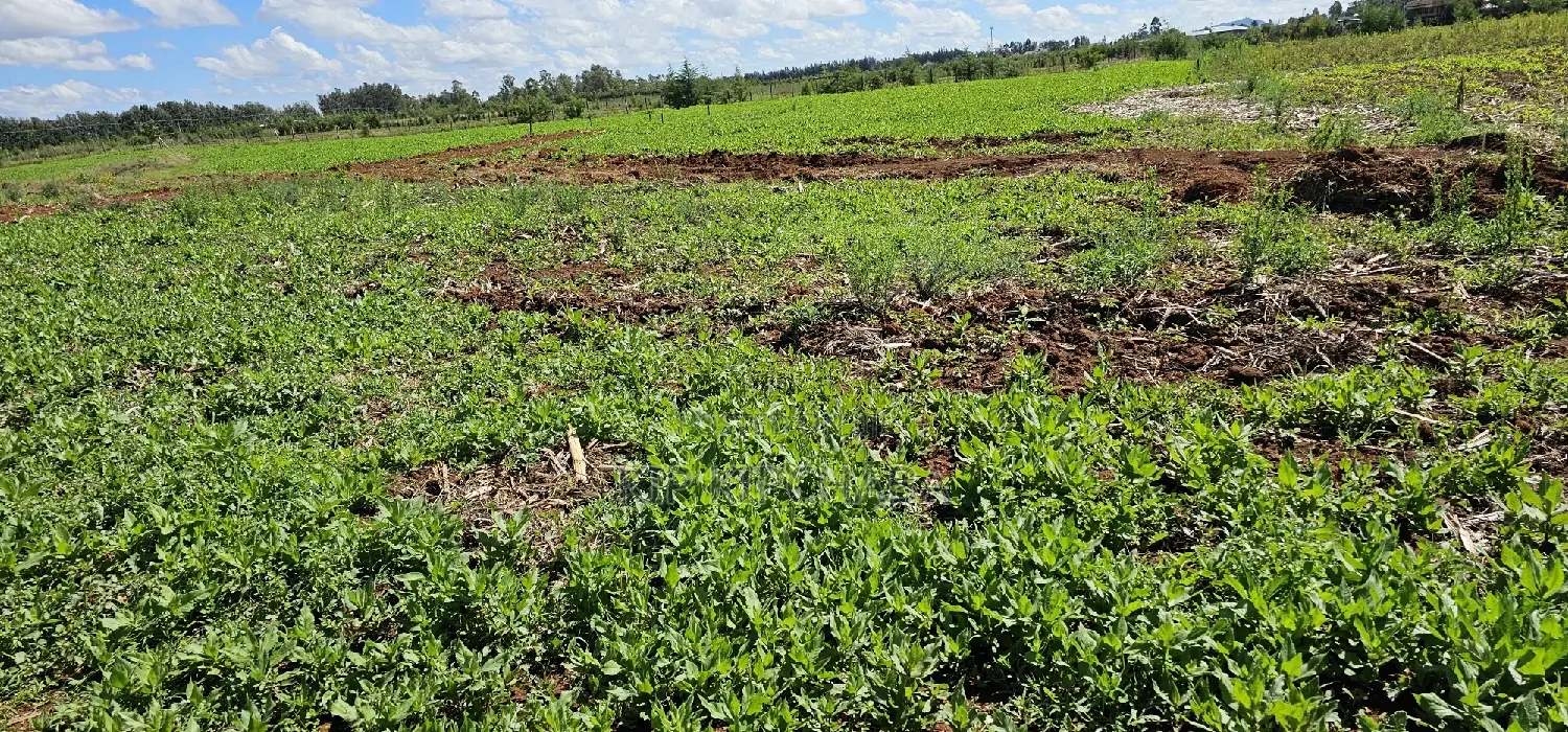 Prime Commercial Plots for Sake in Kimumu Marura in Eldoret