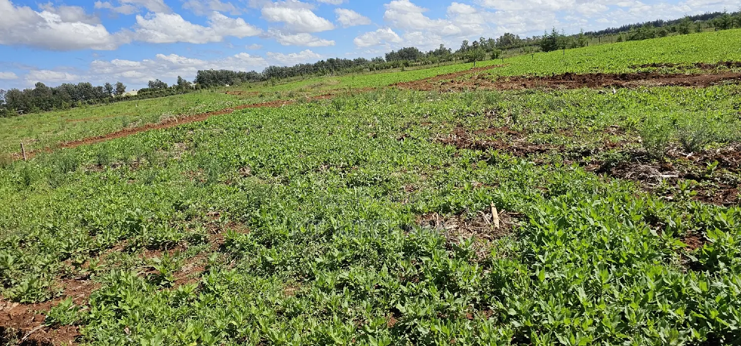 Prime Commercial Plots for Sake in Kimumu Marura in Eldoret