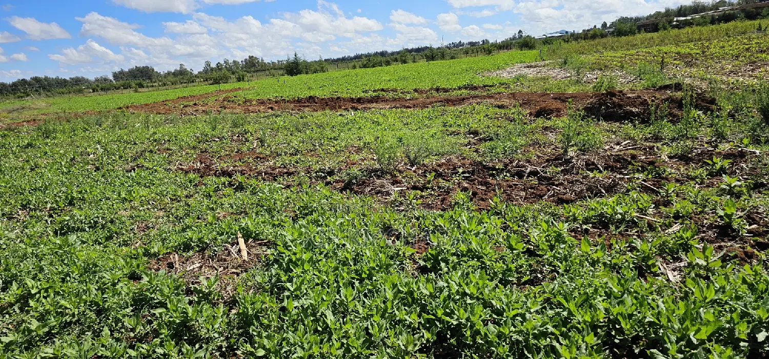 Prime Commercial Plots for Sake in Kimumu Marura in Eldoret