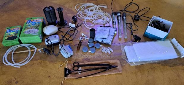 Fish Accessories - main view