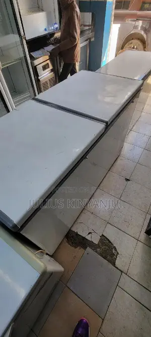 Double Door Freezer 600L