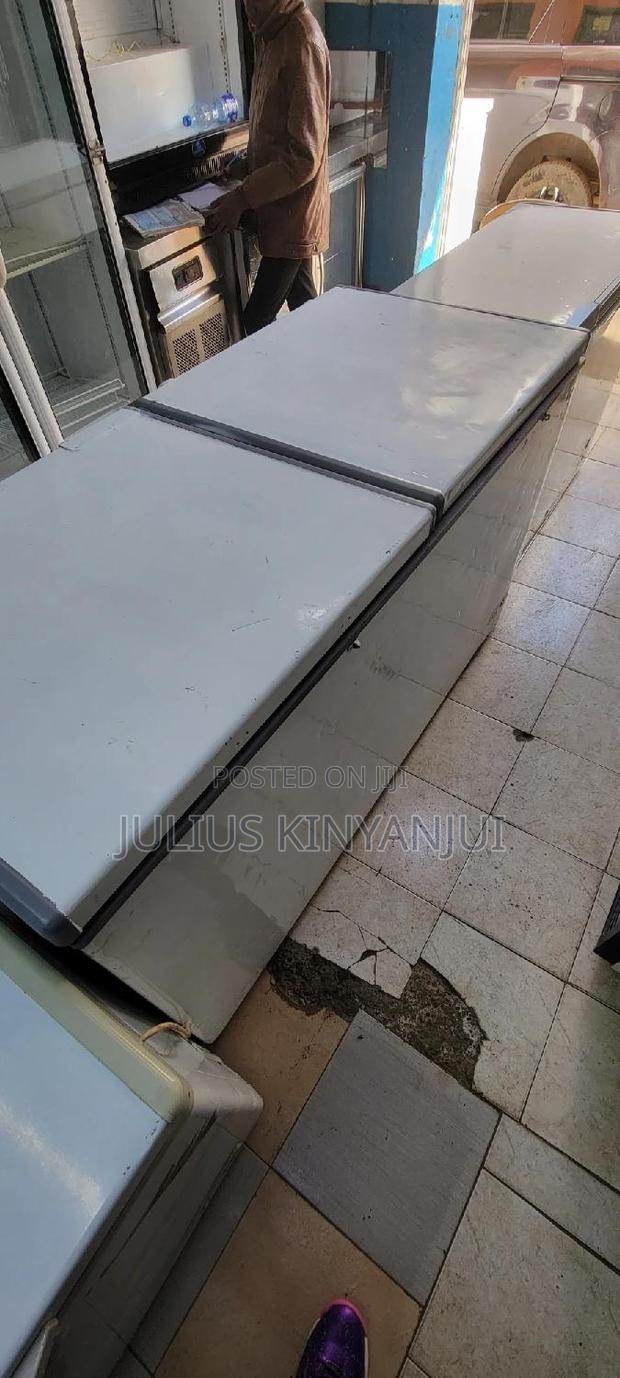 Double Door Freezer 600L