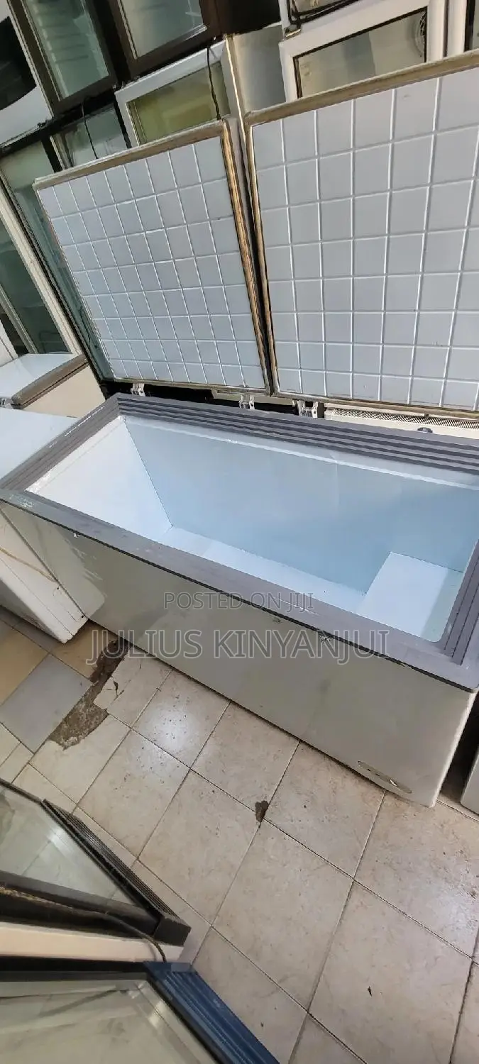 Double Door Freezer 600L