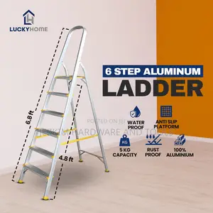 6steps Aluminum Ladder