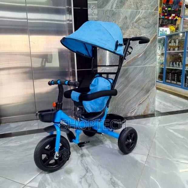 Tricycle With CanopyPushable Handle - main view