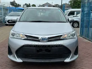 Toyota Corolla Fielder 2018 Silver