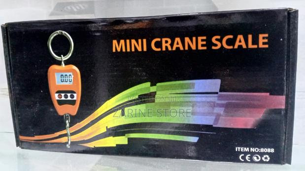Mini Crane Scale 200kg - main view
