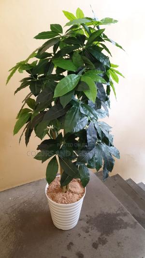 Artificial Plant and Plastic Vase - thumbnail 2