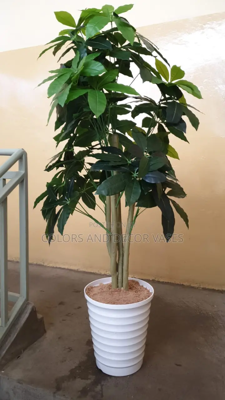 Artificial Avacado Plant With Plastic Vase and Pebble Stones