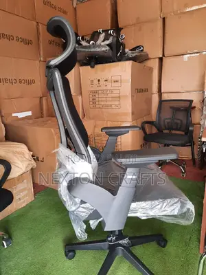 High Back Office Chair, Ergonomic Orthopedic