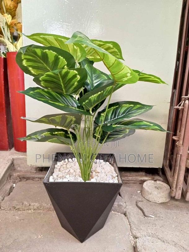 Artificial Decor Plants - thumbnail 2