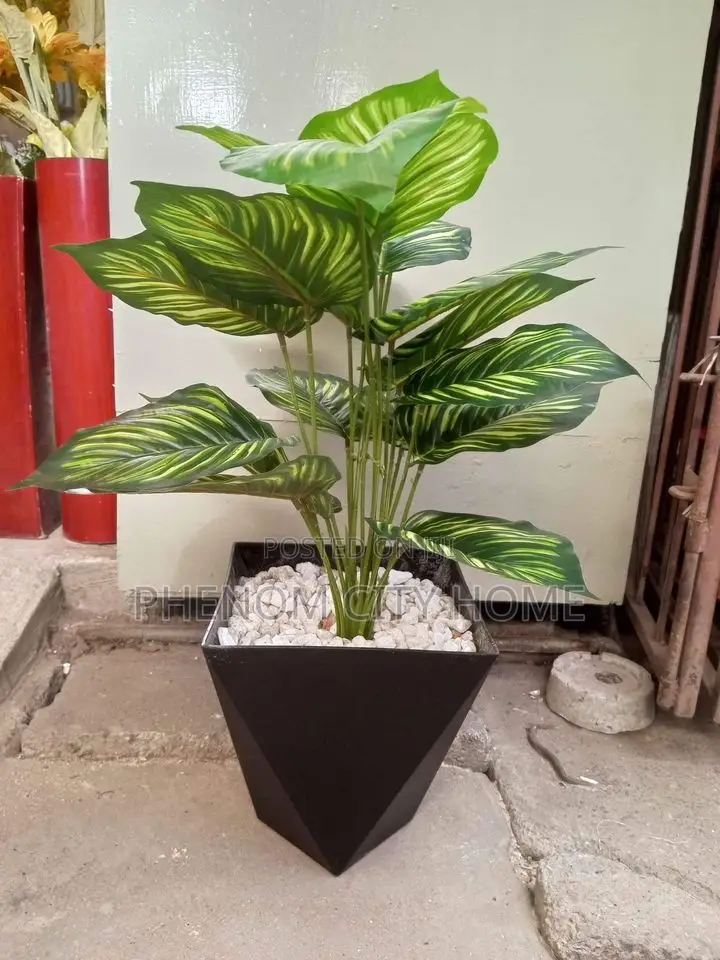 Artificial Plants Available
