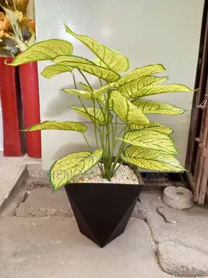 Artificial Decor Plants