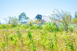 Prime Plots for Sale in Kikuyu, Kamangu.