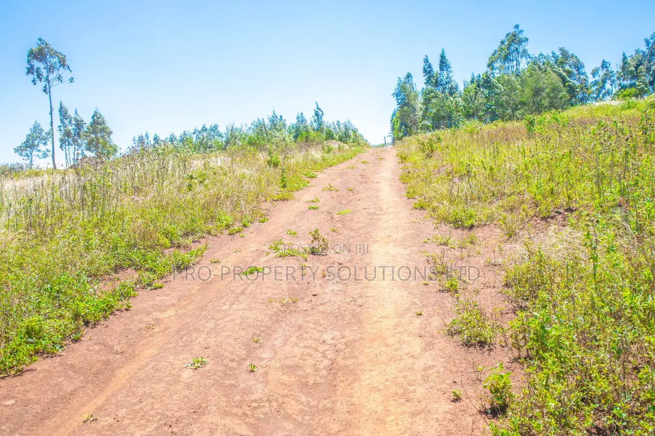 Prime Plots for Sale in Kikuyu, Kamangu.