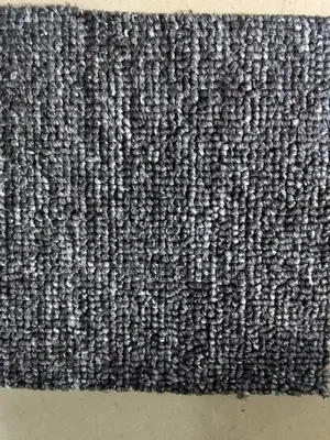 Wall to Wall Carpet Light Gray