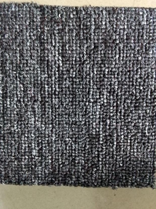 Wall to Wall Carpet Light Gray - main view