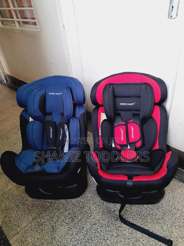 Cat Seat* Car Seat * Car Seat