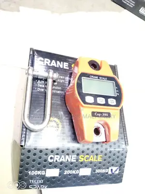 Original 300kgs Crane Scale