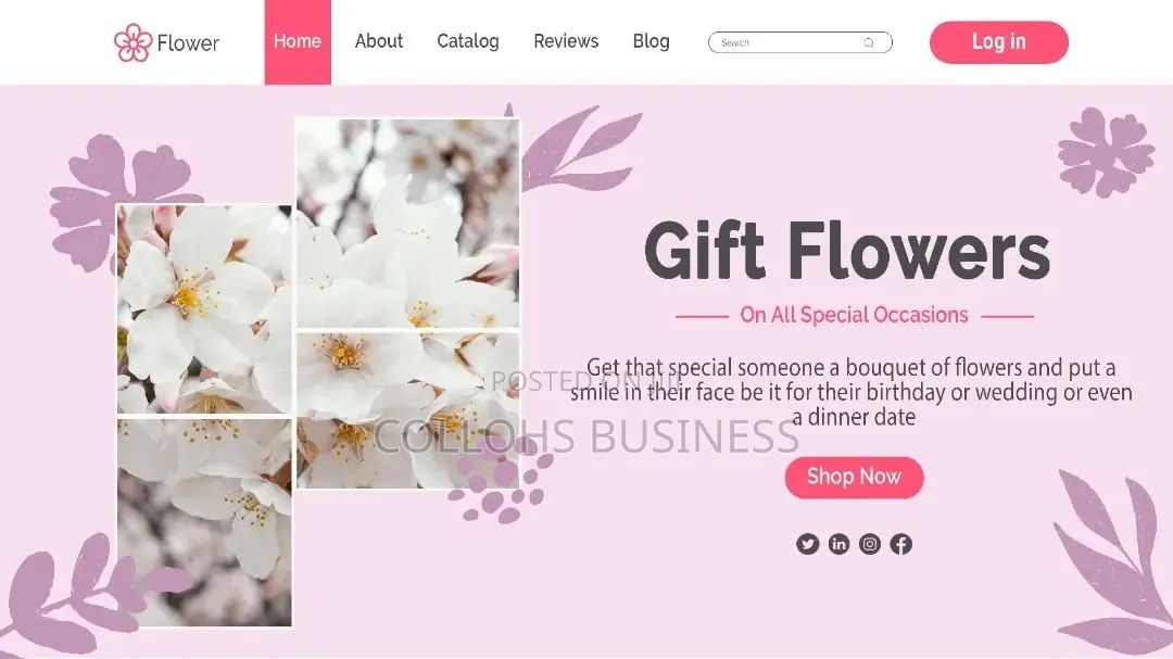 E-commerce Website Design And Development Services