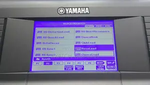 Psr S670 Screen