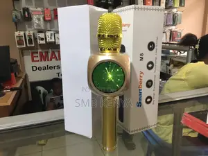 Latest Design Karaoke Microphone With Wireless Speaker