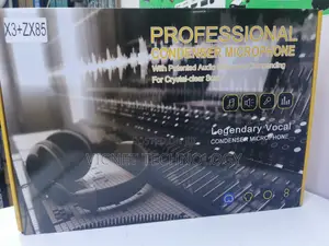 Professional 2 Microphone Live Recording Sound Card