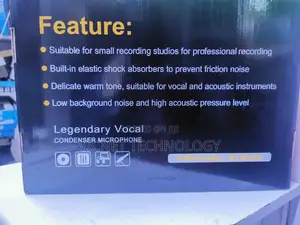 Professional 2 Microphone Live Recording Sound Card