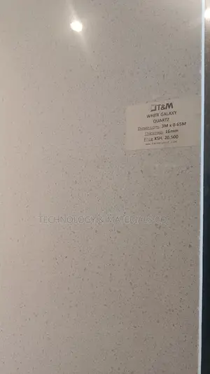 White Galaxy Quartz Kitchen Countertop
