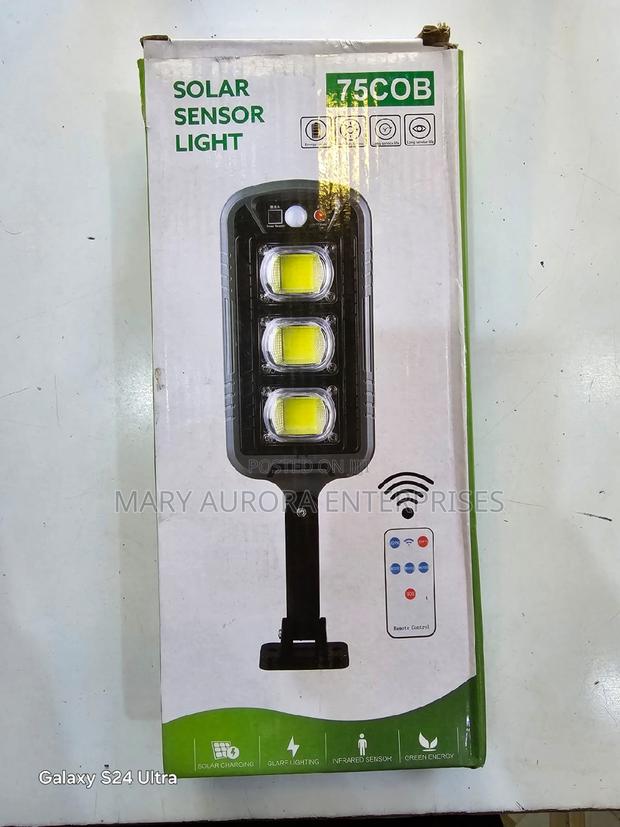 Solar Sensor Light - main view