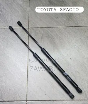 Toyota Spacio Bootshocks