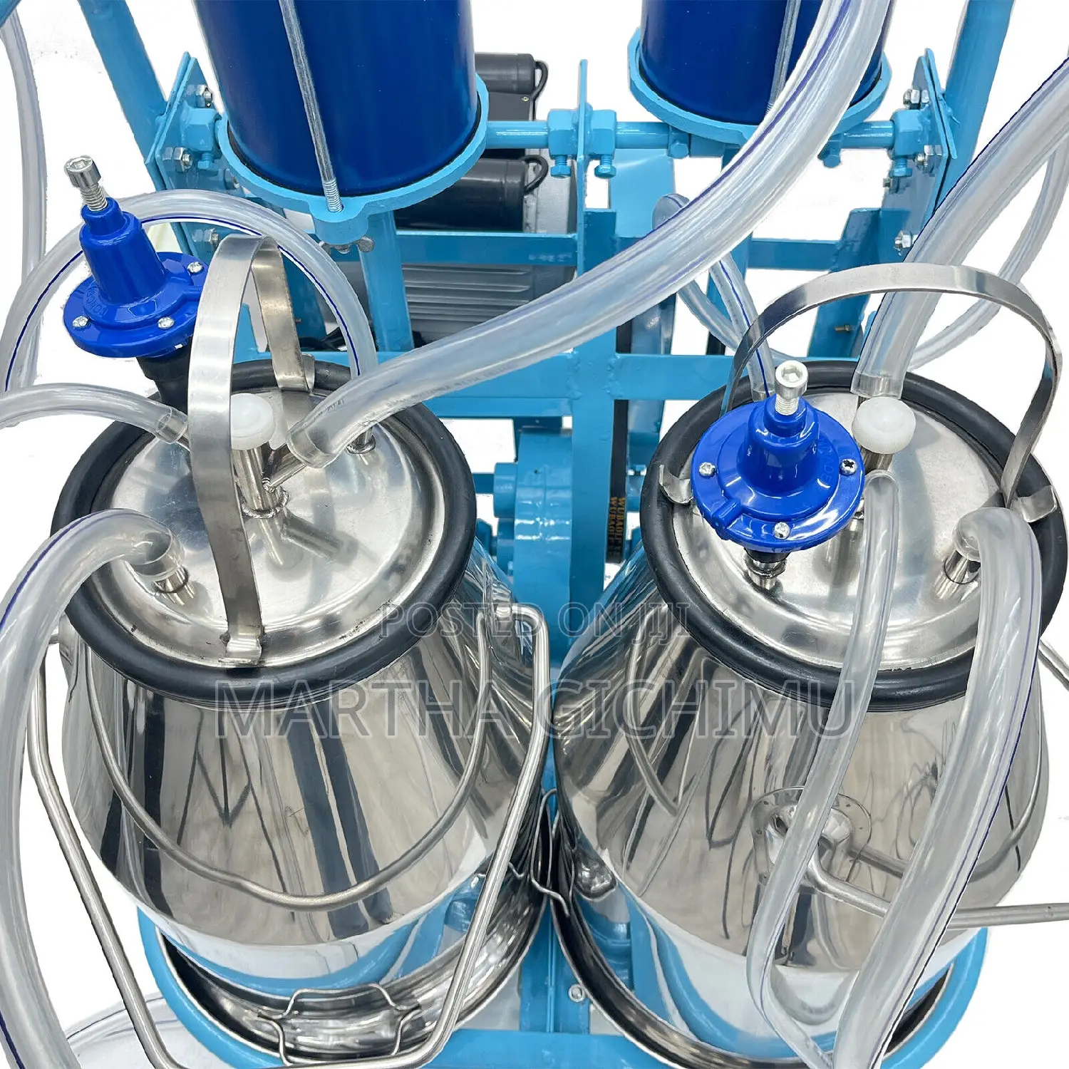 Stainless Steel Double Buckets Milking Machine