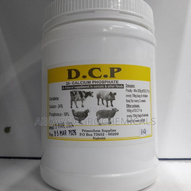 Di- CALCIUM PHOSPHATE ( DCP ) 1kg SUPPLEMENT
