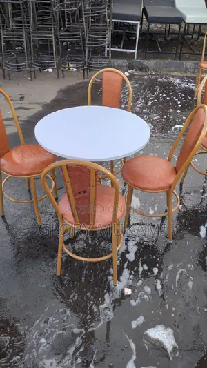 Restaurants Chairs and Bar Chairs