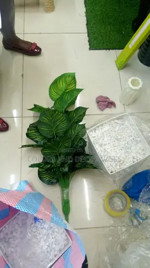 Plant, Plastic Vase And Pebble Stones