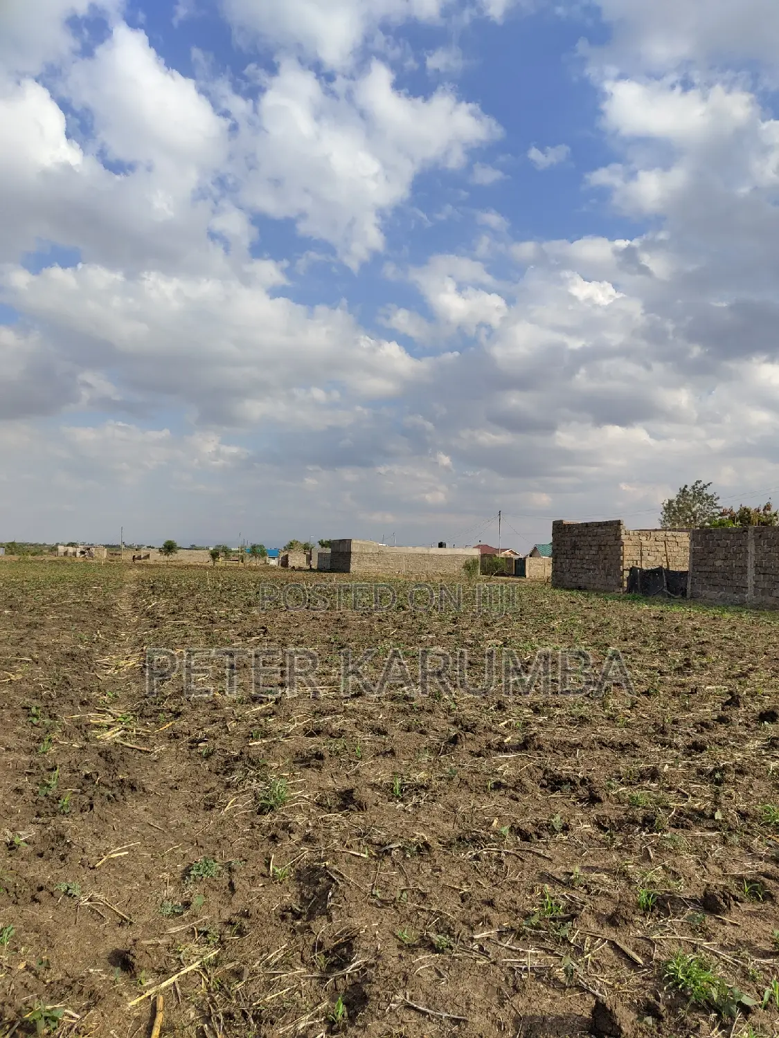 Murera Prime Plots for Sale