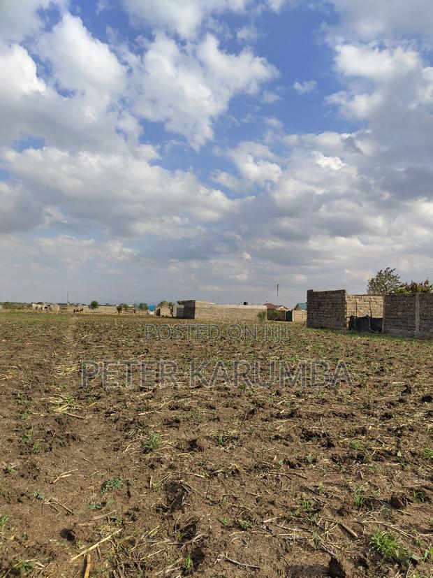 Murera Prime Plots for Sale