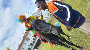 Wayne De Clown