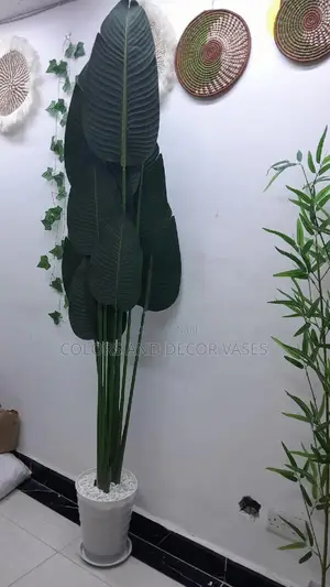 1.8m Banana Plant