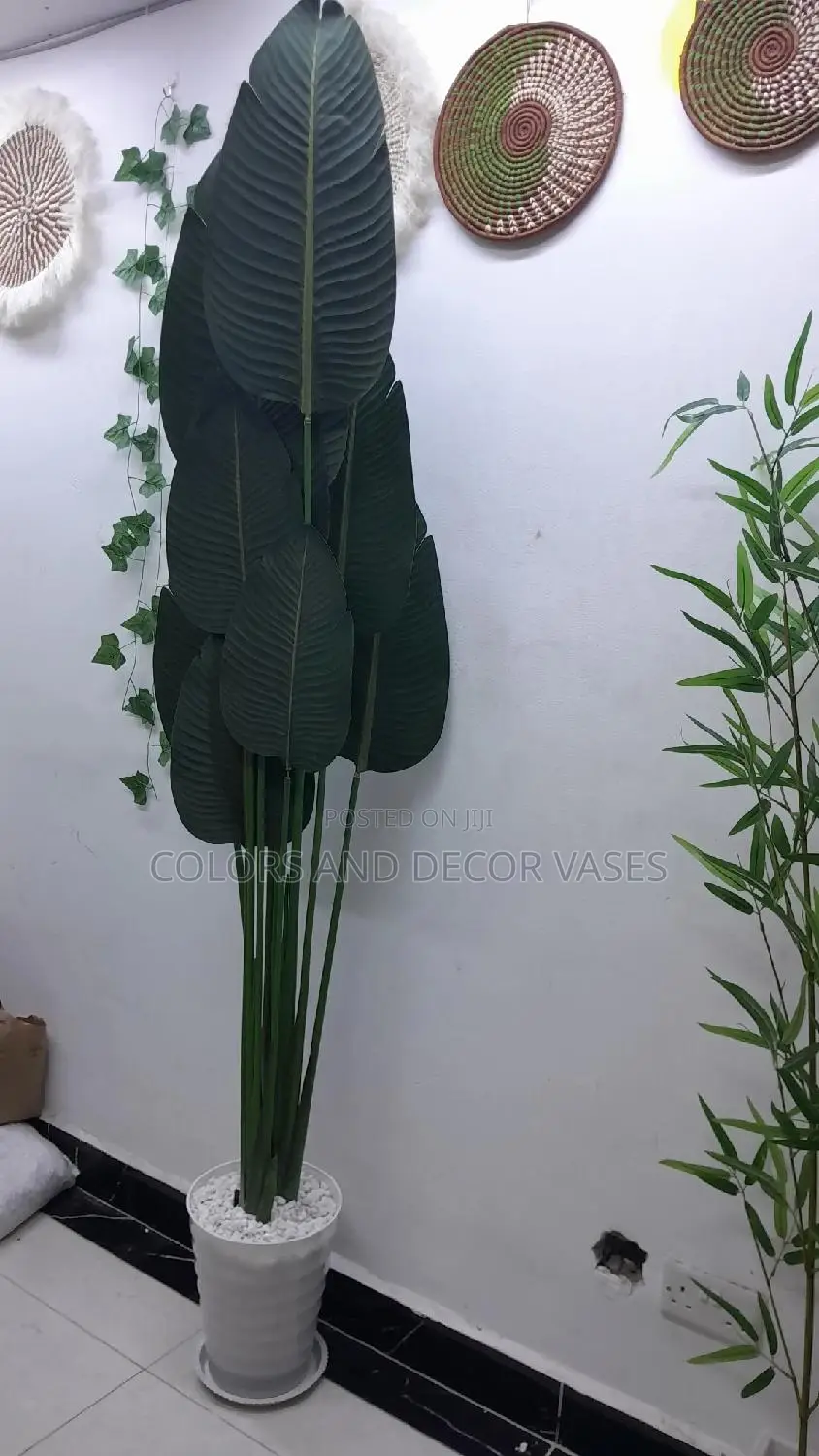 1.8m Banana Plant