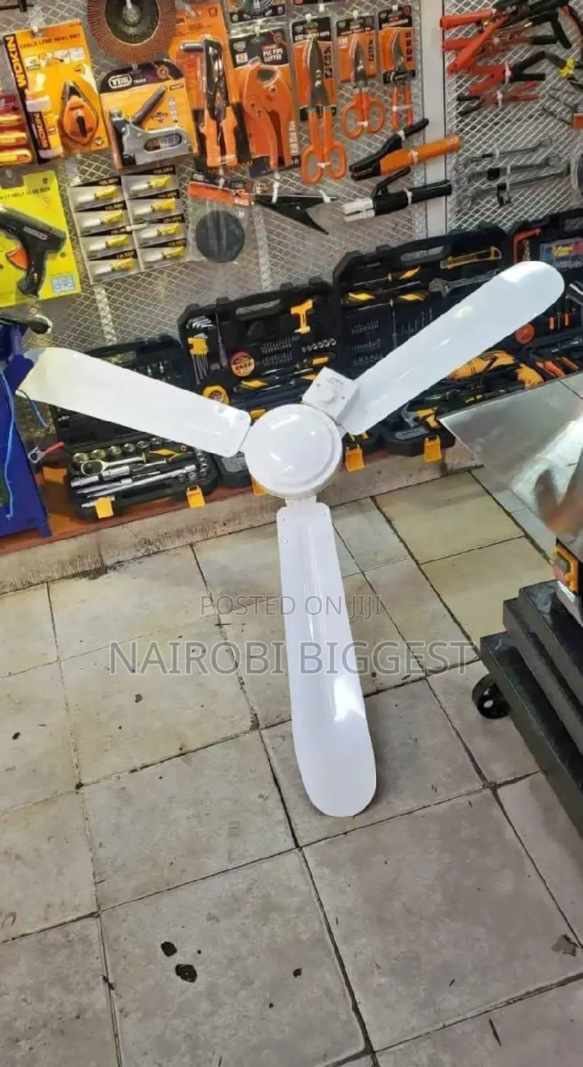 Windsor Ceiling Fan Available