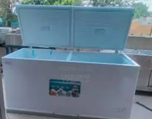 300 Litre Deep Freezer