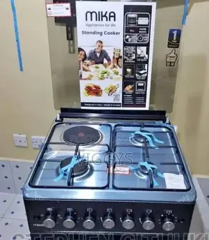 Standing Cooker 60 60