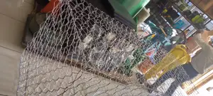 Galvanized Gabion Boxes/Gabion Buskets