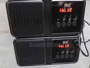 Wireless Speaker Bluetooth Connectivity, Outdoors Flashlight