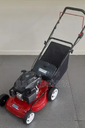 Lawn Moer Petrol